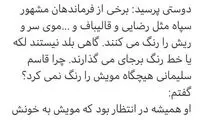 کنایه مهاجرانی به رنگ موی قالیباف و رضایی