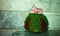 آموزش درست کردن سبزه ی عید دو رنگ