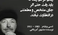هایلایت (216)