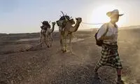 سفر 34 هزار کیلومتری مرد آمریکایی با شتر!
