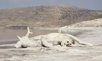 اتفاق دریاچه ارومیه برای تهران نیز در حال وقوع است