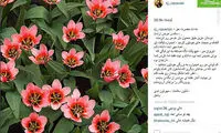 واکنش رضویان به آرای زیاد مهران غفوریان