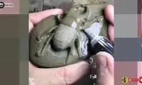 خلق حشرات ظریف و باورنکردنی از سنگ