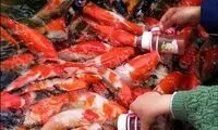 ابتکار عجیب چینی ها در جذب گردشگر+عکس