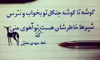 مینی شعر (298)
