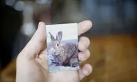 چاپگر جیبی عکس ویژه گوشی‌های هوشمند