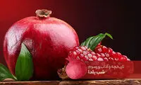 تاریخچه و آداب‌و‌رسوم شب یلدا در ایران و جهان