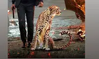 استوری خاص بازیکن استقلال برای دراگان اسکوچیچ