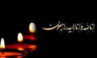 اعلام عزای عمومی در استان فارس