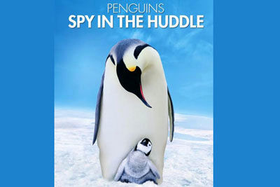 مستند «جاسوسی در قلمرو پنگوئن‌ها» در شبکه یک