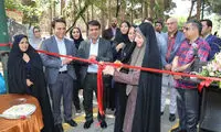دوچرخه‌سواری زنان؛ تهران آزاد، اصفهان ممنوع