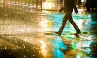 گزارش تصویری از شب های تهران زیر باران