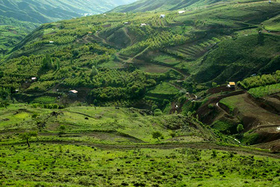 سفر به دره های سرسبز و دیدنی ایران