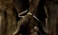 این عکس ها شما را عاشق عکس می کند!