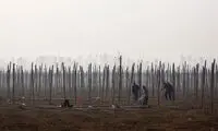 کشف قدیمی‌ترین ردپای انسان