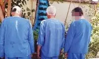 از تیرباران سه بی‌گناه تا سرقت‌های عجیب