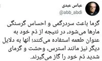 نوشته‌ی پُرابهام عباس عبدی در توئیتر