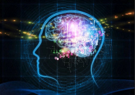 مغز انسان آنالوگ است یا دیجیتال؟