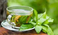 طرز تهیه‌ی دمنوش پونه؛ سرشار از خاصیت درمانی
