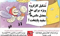 مگس‌های سفید تهران خانه‌ دار می‌شوند!