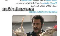 تایید نشده؛ نماینده ایران برای اسکار انتخاب شد