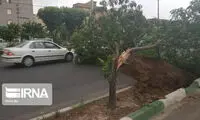 تندباد در تهران؛ هشدار برای روز دوشنبه