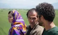 «تومان» و «پیشی‌میشی» در راه اکران