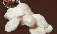 مجسمه های خوشمزه و خاص!
