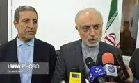 صالحی: خارج از چارچوب برجام عمل نمی‌کنیم