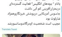 توئیت آمنه‌ سادات ذبیح‌پور درباره سریال گاندو