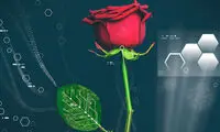 رویاندن سیم‌های رسانای برق در گیاهان!