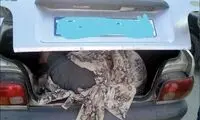 فرجام جسدی که فروخته نشد!