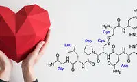 هورمون اکسی‌توسین و ارتباط آن با شیردهی و ارگاسم