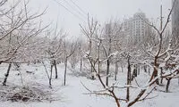دل‌انگیزترین تصاویر از حال و هوای تهران را ببینید
