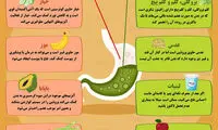 اینفوگرافی: مواد غذایی نفاخ و ضد نفخ را بشناسید