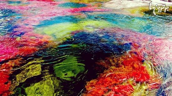 رودخانه ی 5 رنگ +عکس