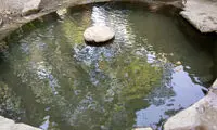 شکستگیِ ساعت آبی هرسین صحت ندارد