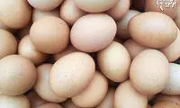 این مواد غذایی و اجسام را هرگز در مایکرویو نگذارید