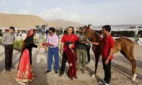 جشنواره زیبایی اسب اصیل ایرانی