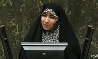 چنارانی: در این مجلس هیچکس نورچشمی نیست