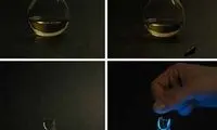 لامپ خون‌ آشام، به بازار آمد! /عکس