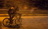 صحنه های وحشتناک حمله میلیون ها حشره