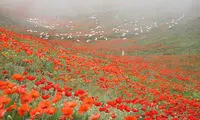 بهشت سرخ کجاست؟