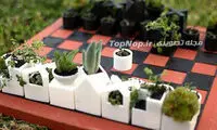عکس: شطرنج گیاهی