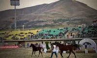 دومین جشنواره ملی اسب اصیل کُرد