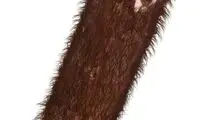 حاضرید به این بستنی لب بزنید؟!