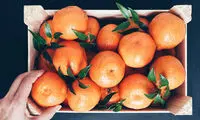 با این غذاها اعصابتان را آرام کنید