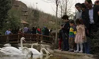 باغ پرندگان تهران؛ تماشای هزاران پرنده در پایتخت
