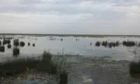 به زبان ساده؛ خوزستان چگونه خشک شد؟