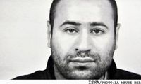 " گرگ تنها " در بلژيك حمام خون به راه انداخت